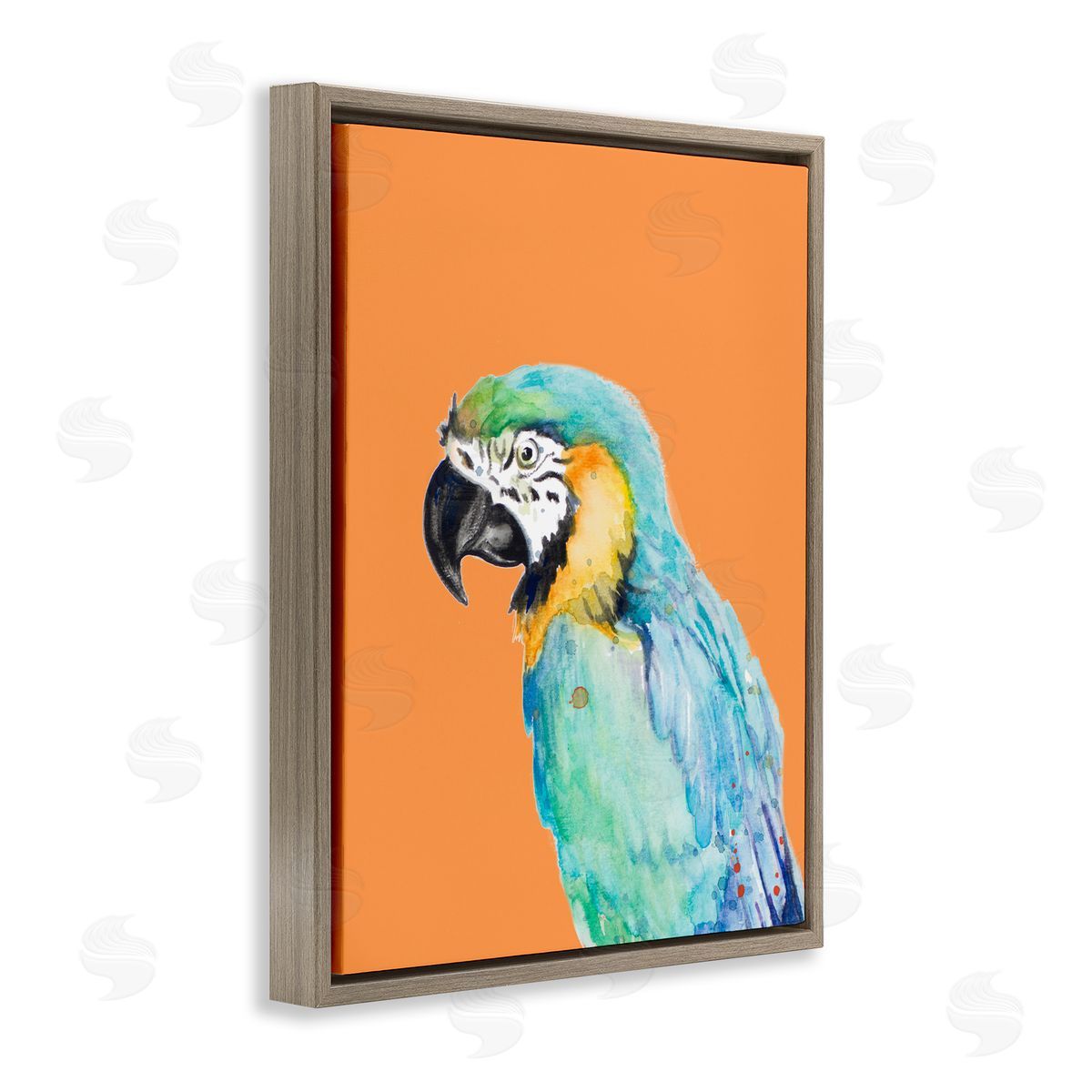 Patricia Pinto Tropical Macaw Parrot Portrait Bold Rainforest Bird Brown Floating Frame Canvas Wall Art Print