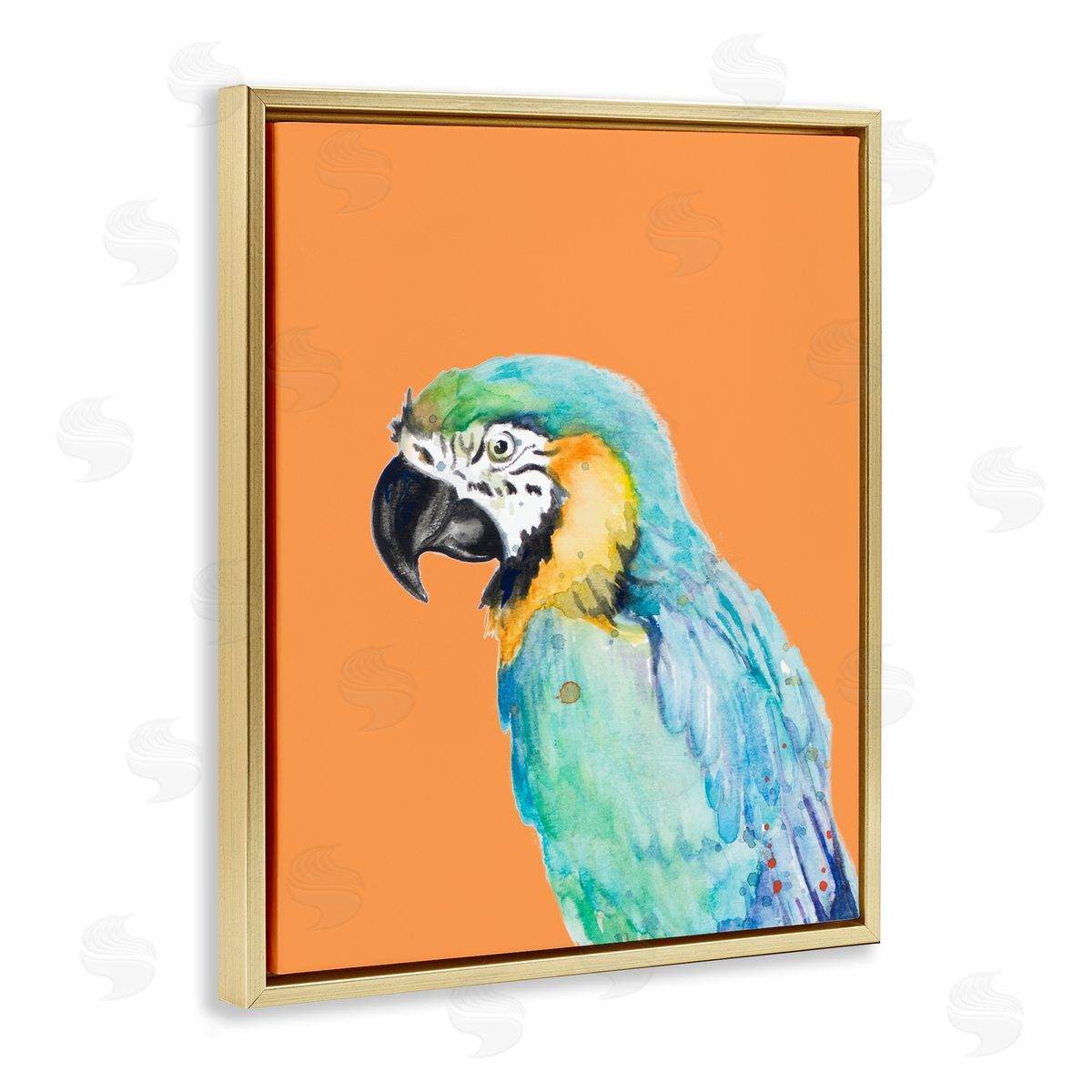 Patricia Pinto Tropical Macaw Parrot Portrait Bold Rainforest Bird Gold Floating Frame Canvas Wall Art Print