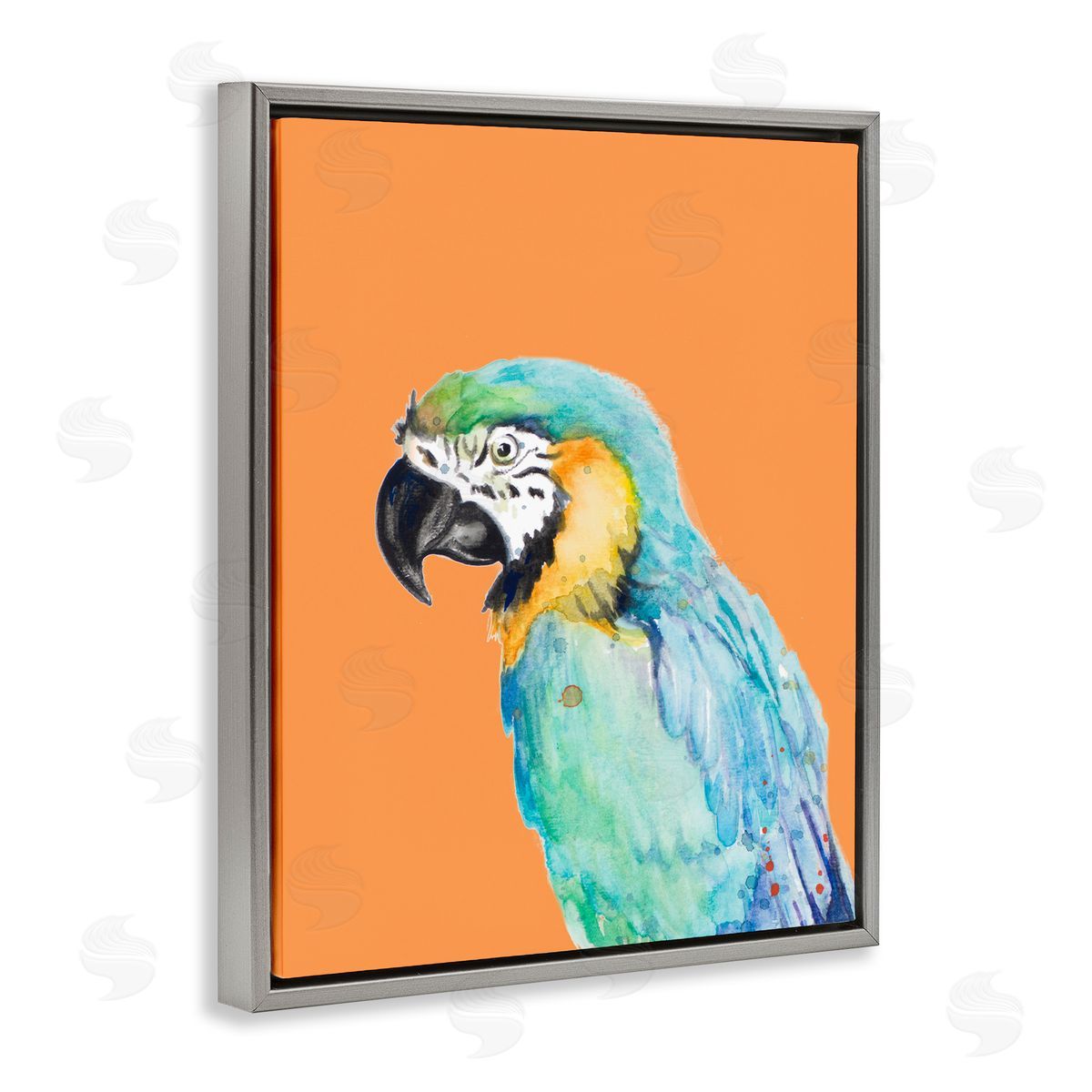 Patricia Pinto Tropical Macaw Parrot Portrait Bold Rainforest Bird Gray Floating Frame Canvas Wall Art Print