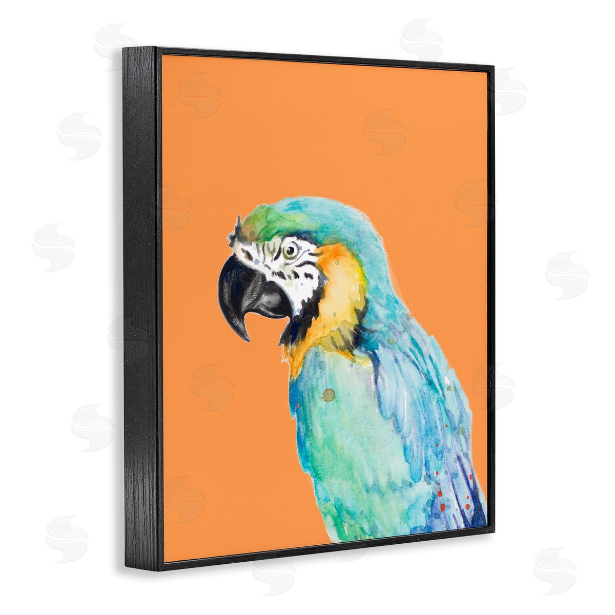 Patricia Pinto Tropical Macaw Parrot Portrait Bold Rainforest Bird Black Framed Giclee Wall Art Print