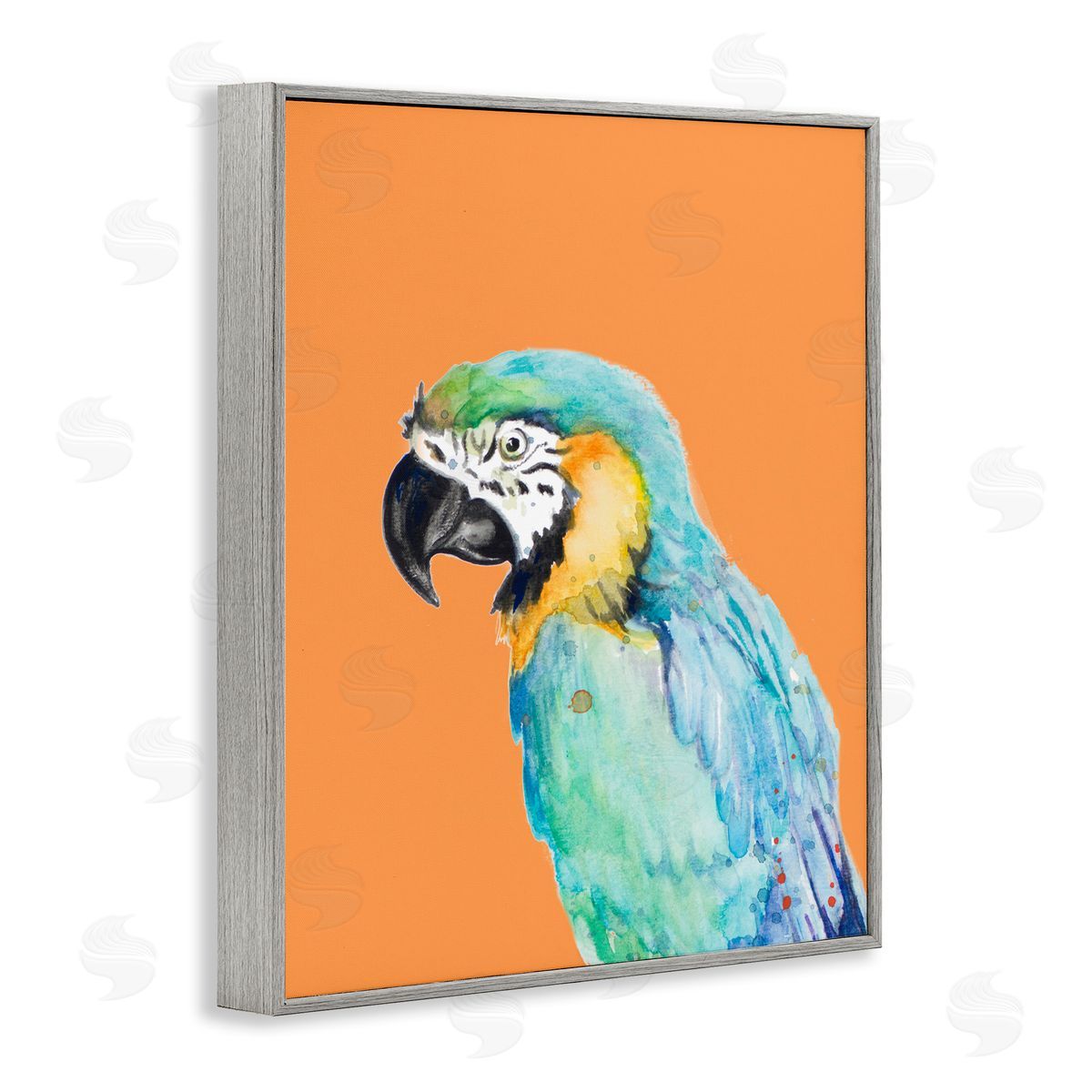 Patricia Pinto Tropical Macaw Parrot Portrait Bold Rainforest Bird Gray Framed Giclee Wall Art Print