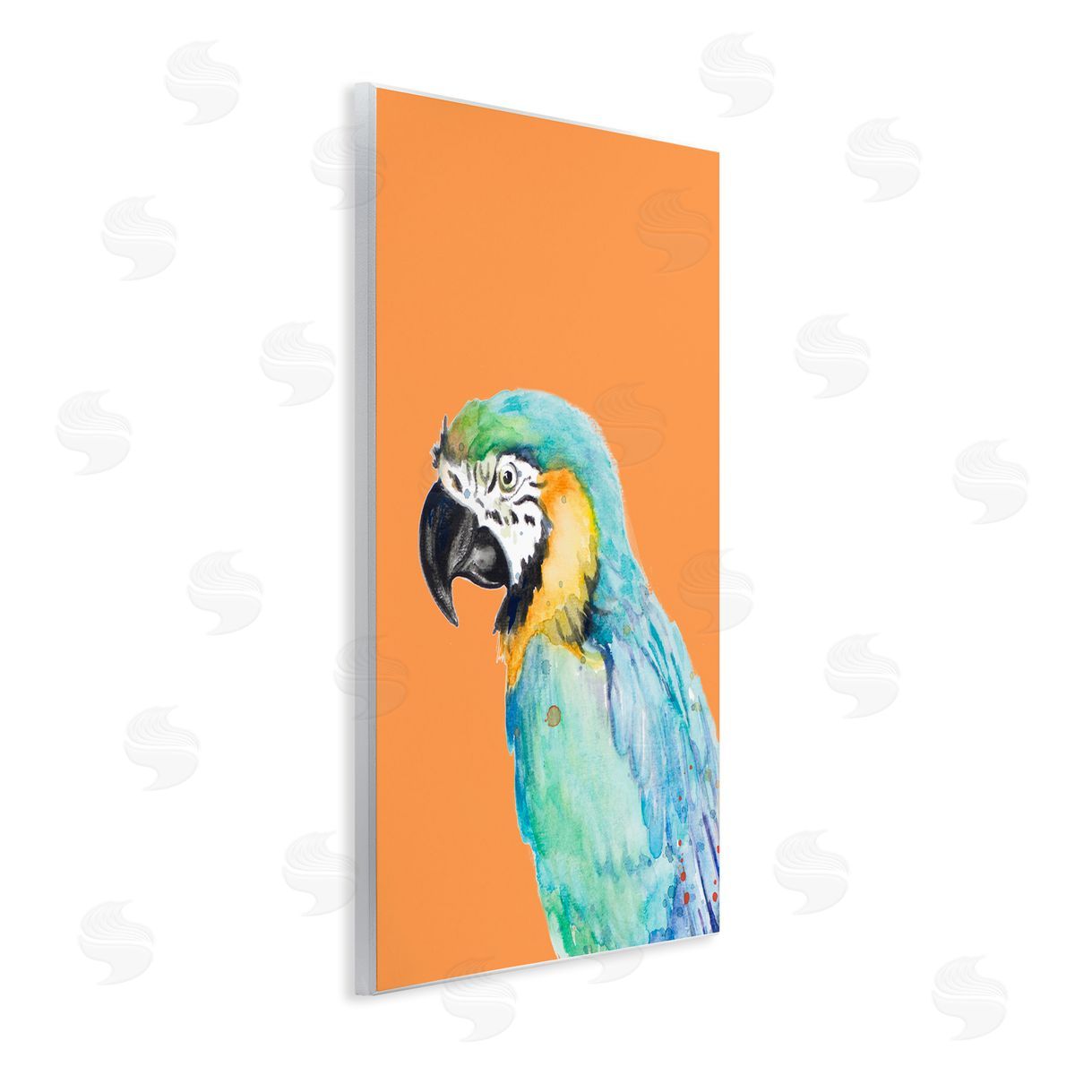 Patricia Pinto Tropical Macaw Parrot Portrait Bold Rainforest Bird Wall Plaque Art Print