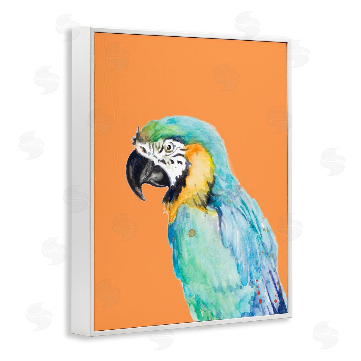 Patricia Pinto Tropical Macaw Parrot Portrait Bold Rainforest Bird White Framed Giclee Wall Art Print