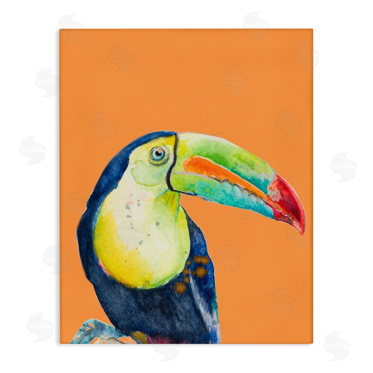Patricia Pinto Tropical Toucan Portrait Vivid Beak Rainforest Bird Stretched Canvas Wall Art Print