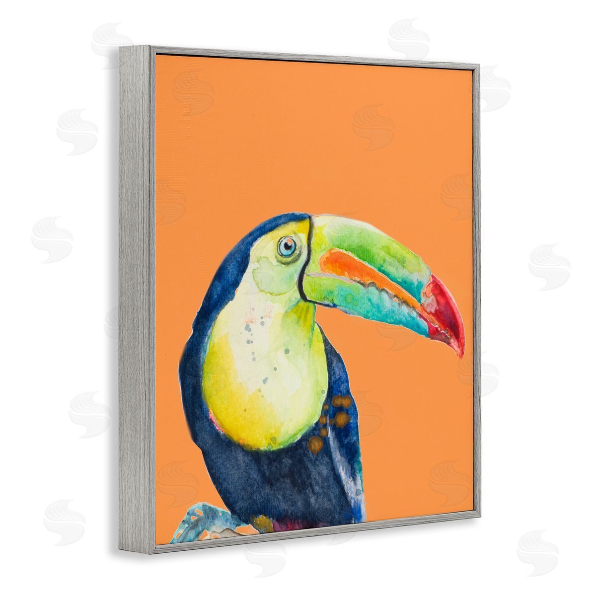 Patricia Pinto Tropical Toucan Portrait Vivid Beak Rainforest Bird Gray Framed Giclee Wall Art Print