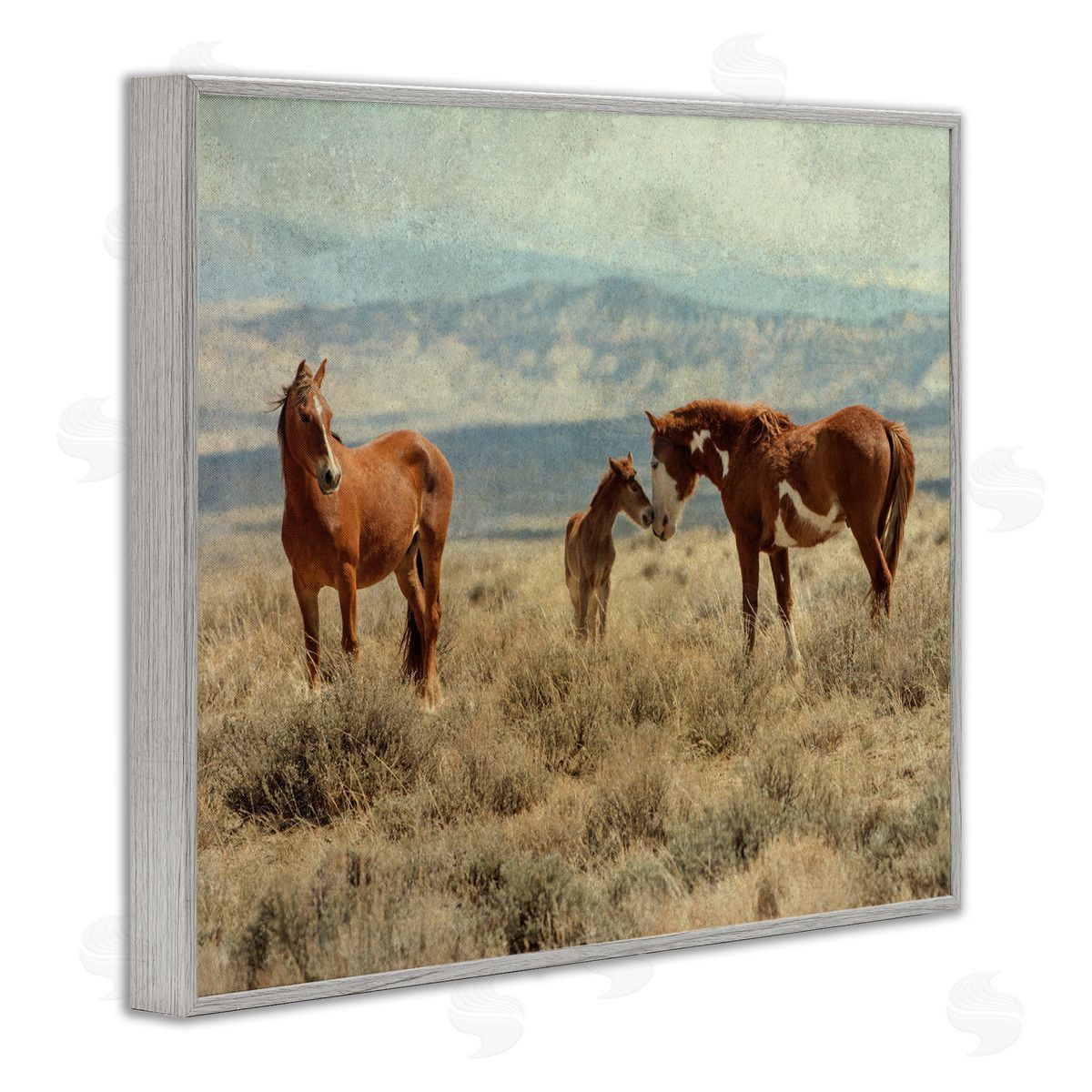 Jan Walters Heartening Horse Foal Family Scenic Mountain Clouds Gray Framed Giclee Wall Art Print