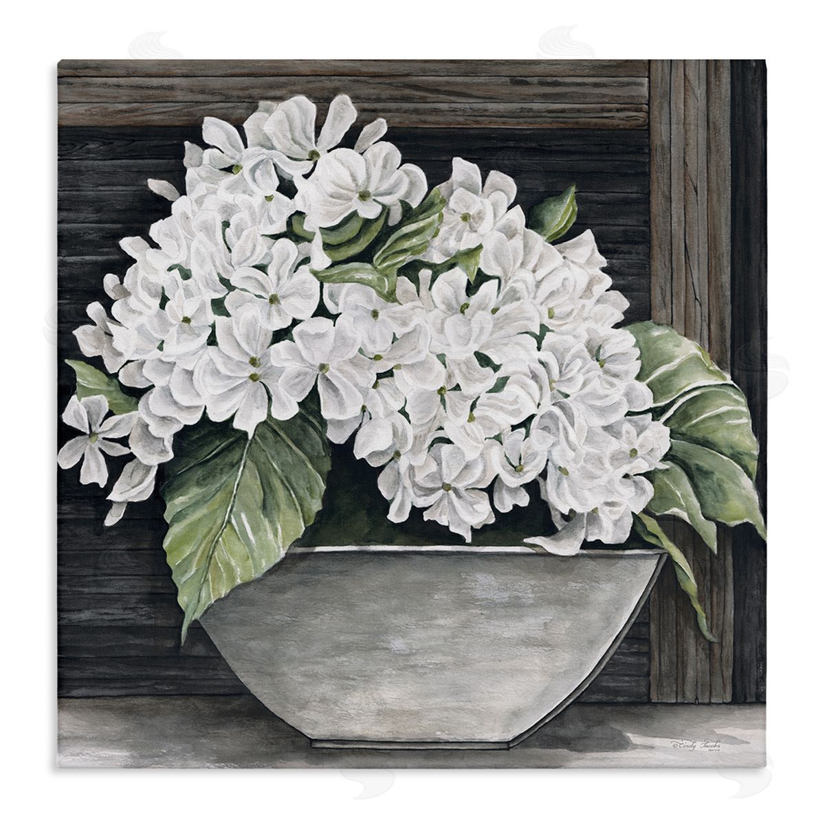 Cindy Jacobs White Geranium Flower Planter Rustic Country Scene Stretched Canvas Wall Art Print