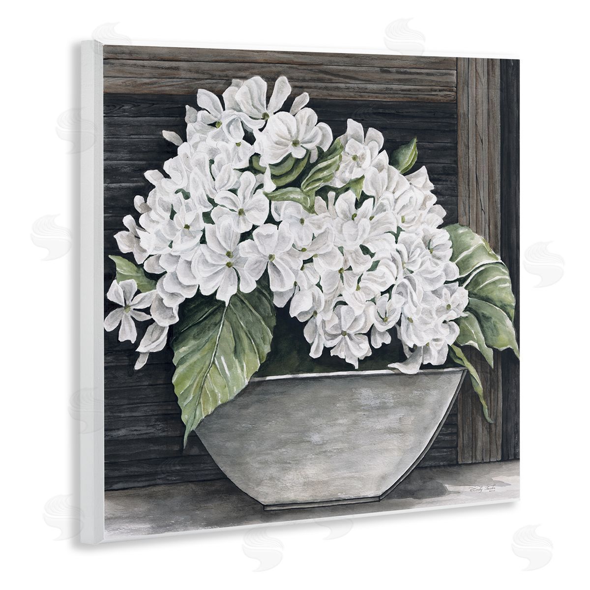 Cindy Jacobs White Geranium Flower Planter Rustic Country Scene Wooden Wall Plaque Art Print
