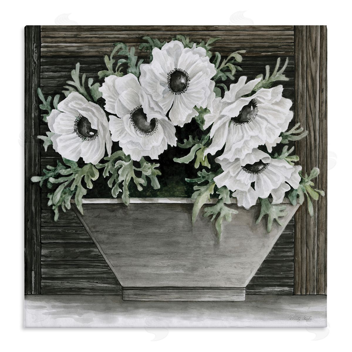 Cindy Jacobs Rustic White Anemone Flower Blossoms Overhanging Planter  Stretched Canvas Wall Art Print