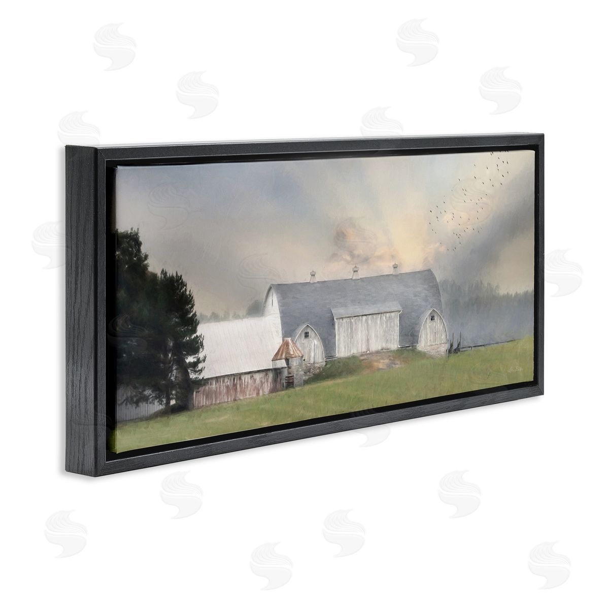 Lori Deiter Sunlit Barn Birds Flying Rural Countryside Pasture