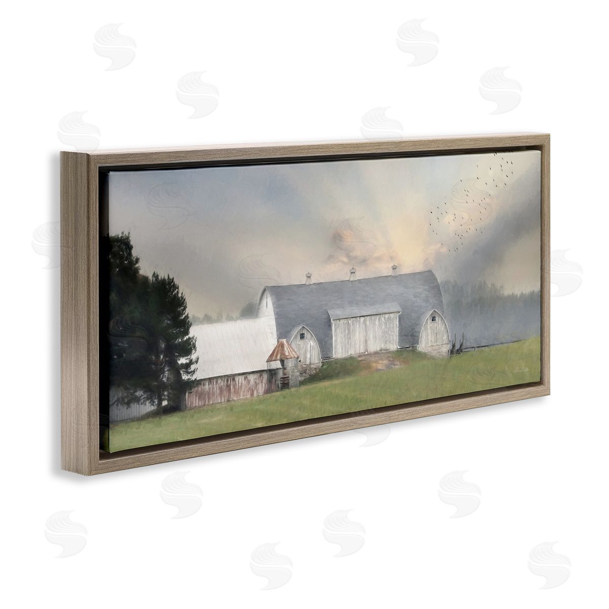 Lori Deiter Sunlit Barn Birds Flying Rural Countryside Pasture