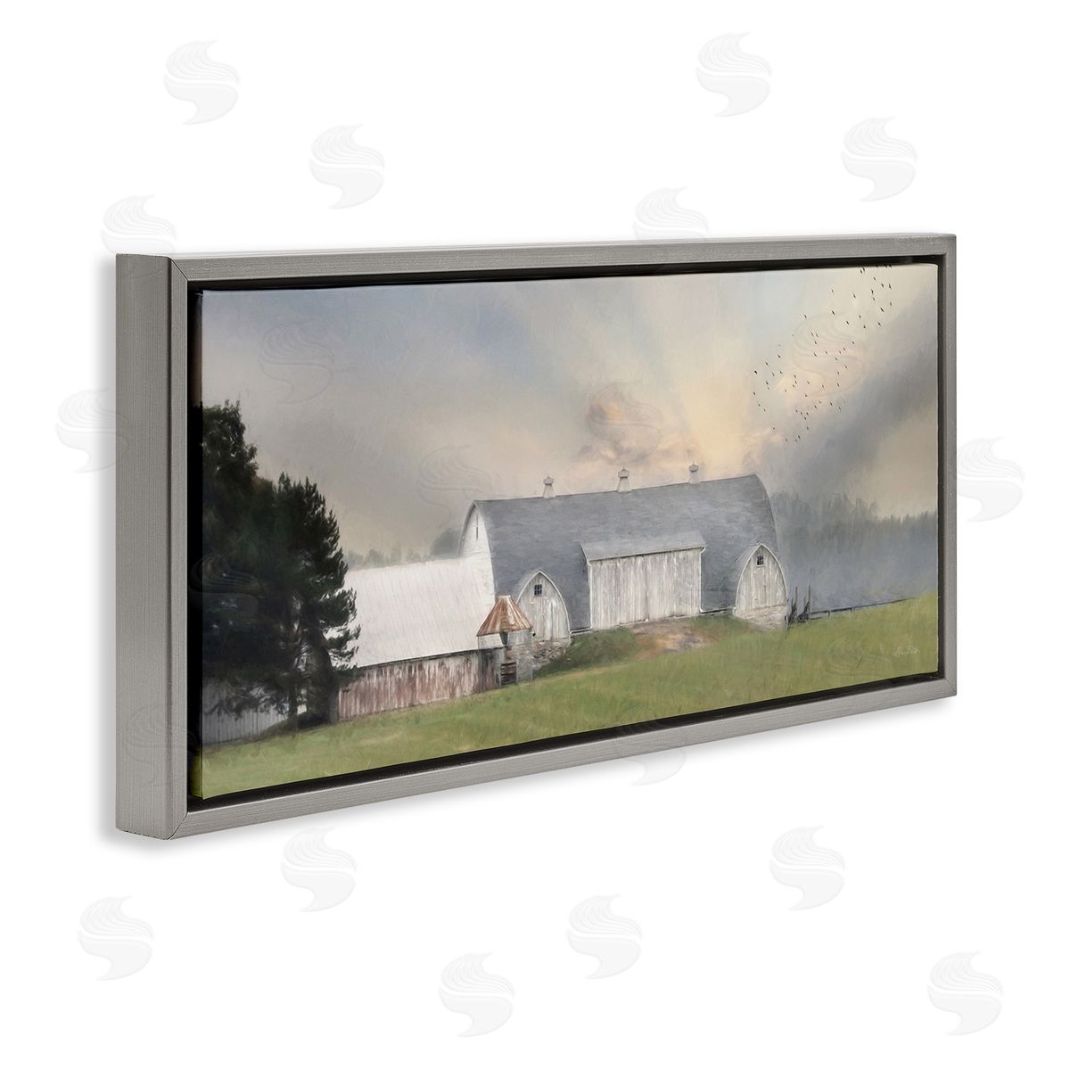 Lori Deiter Sunlit Barn Birds Flying Rural Countryside Pasture