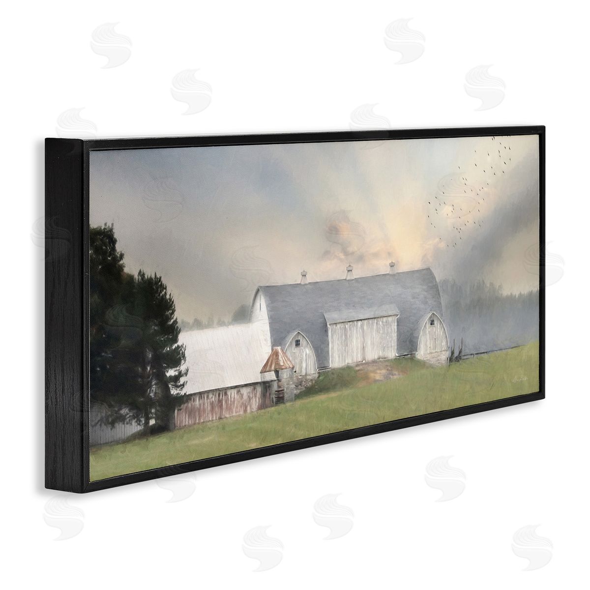 Lori Deiter Sunlit Barn Birds Flying Rural Countryside Pasture