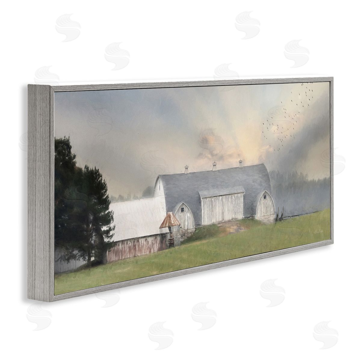 Lori Deiter Sunlit Barn Birds Flying Rural Countryside Pasture