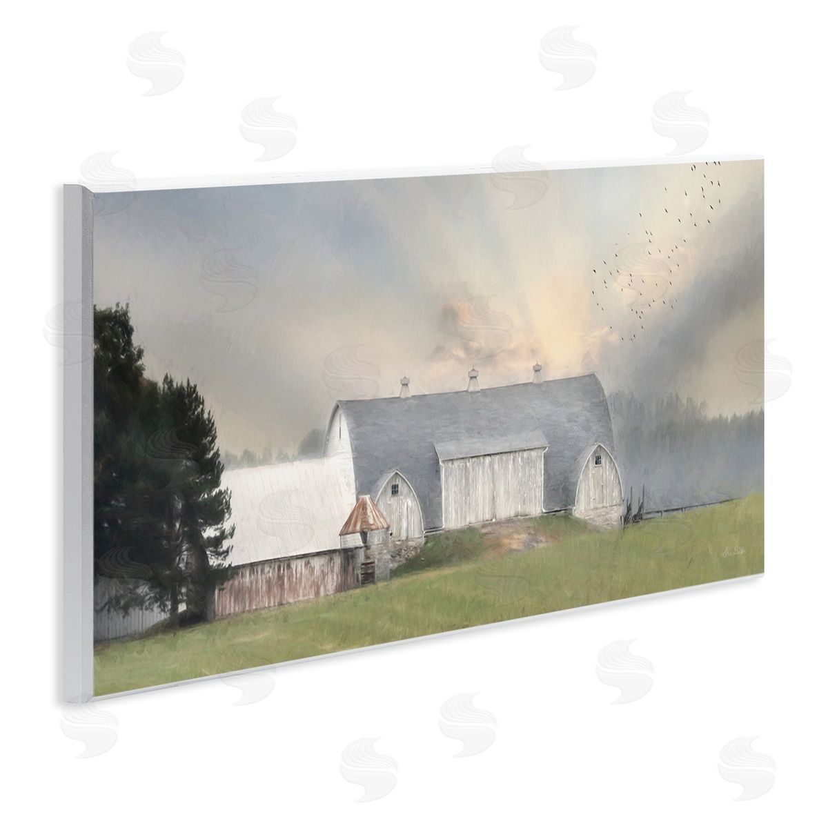 Lori Deiter Sunlit Barn Birds Flying Rural Countryside Pasture