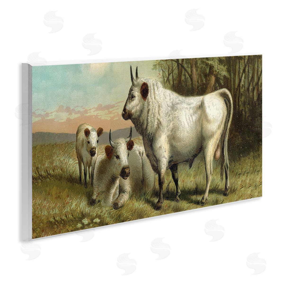Stupell Studio White Cattle Family Rural Countryside Detailed Painting