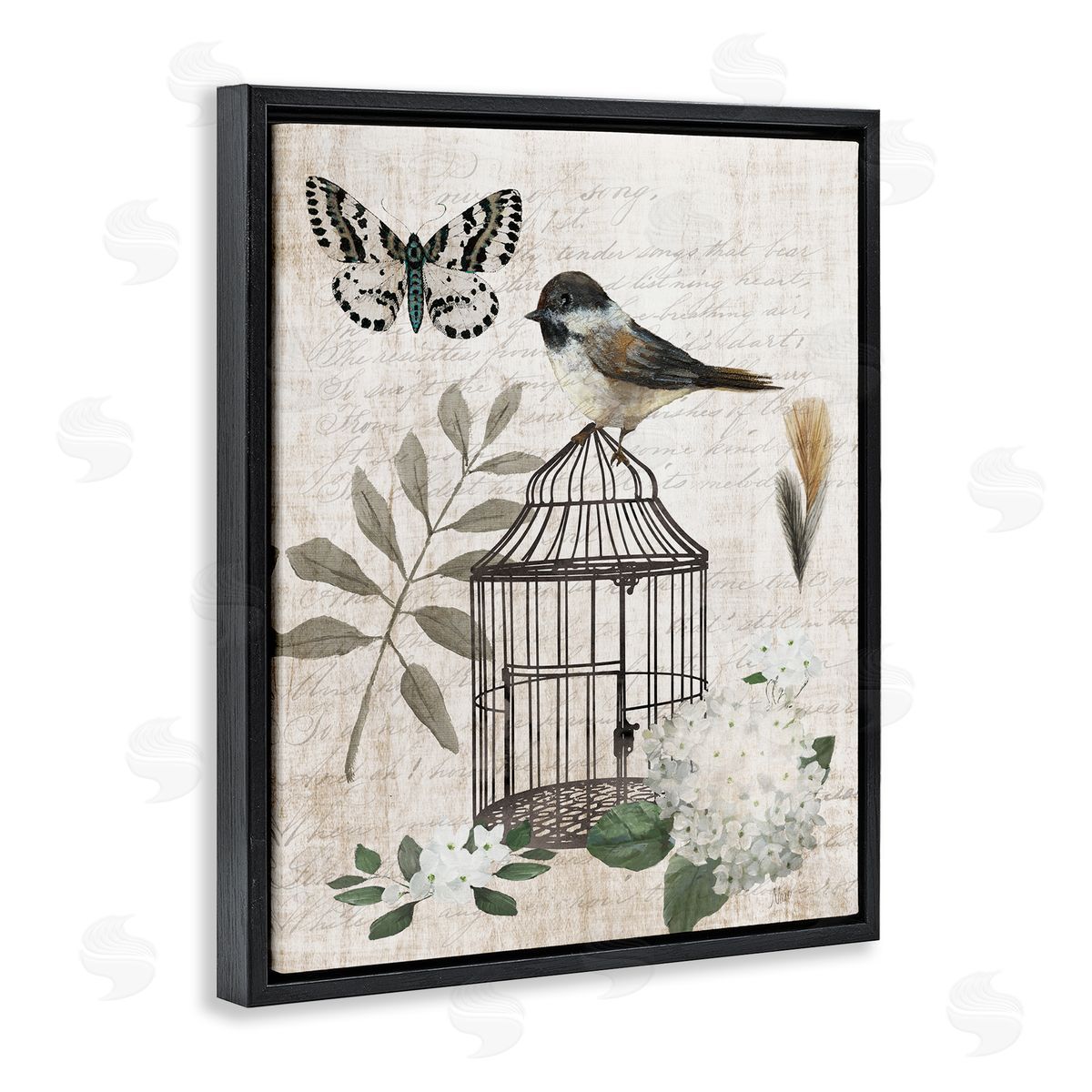 Nan Botanical Bird Cage Vintage Words Butterfly Black Floating Frame Canvas Wall Art Print