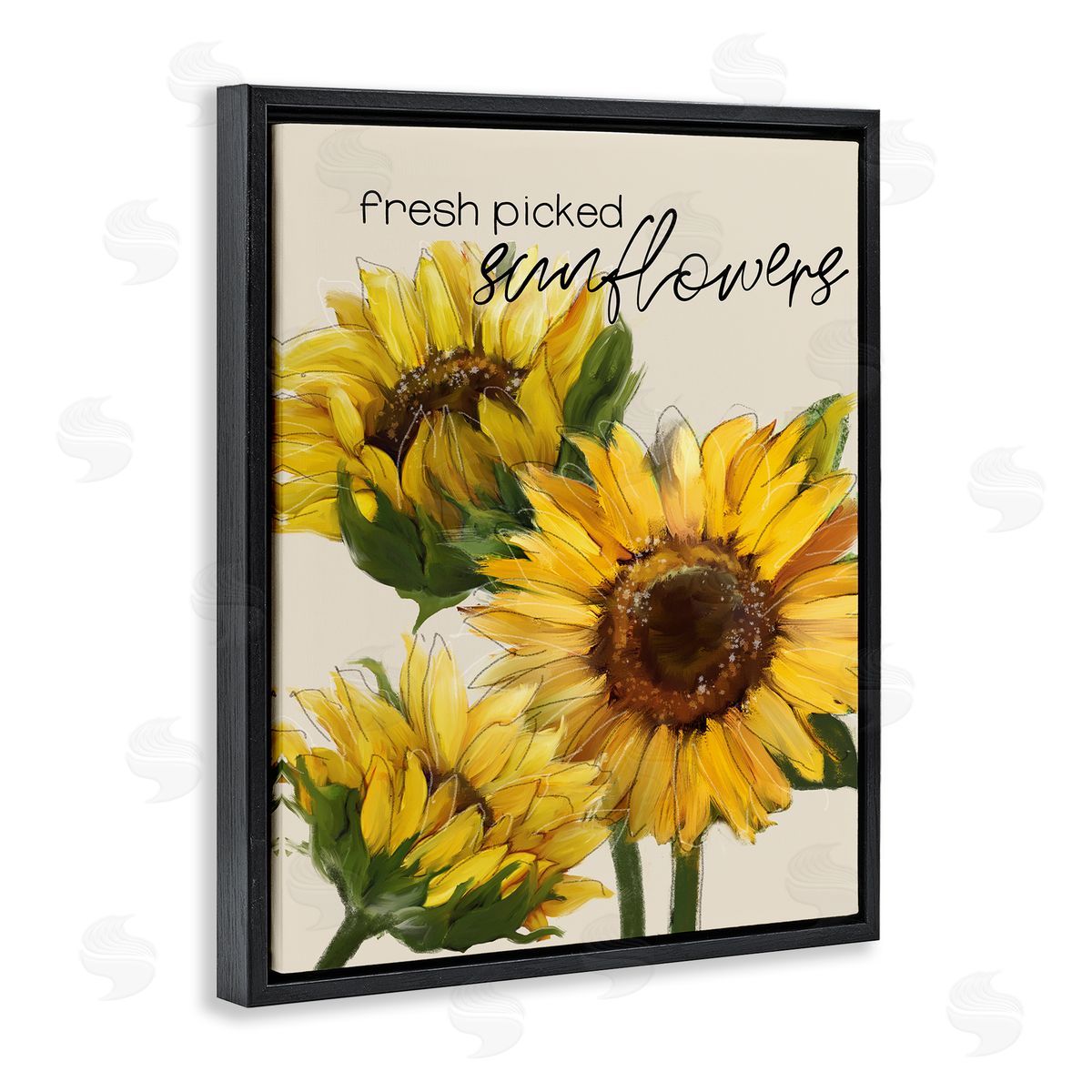 Conrad Knutsen Fresh Picked Sunflowers Calligraphy Vivid Yellow Blossoms Black Floating Frame Canvas Wall Art Print