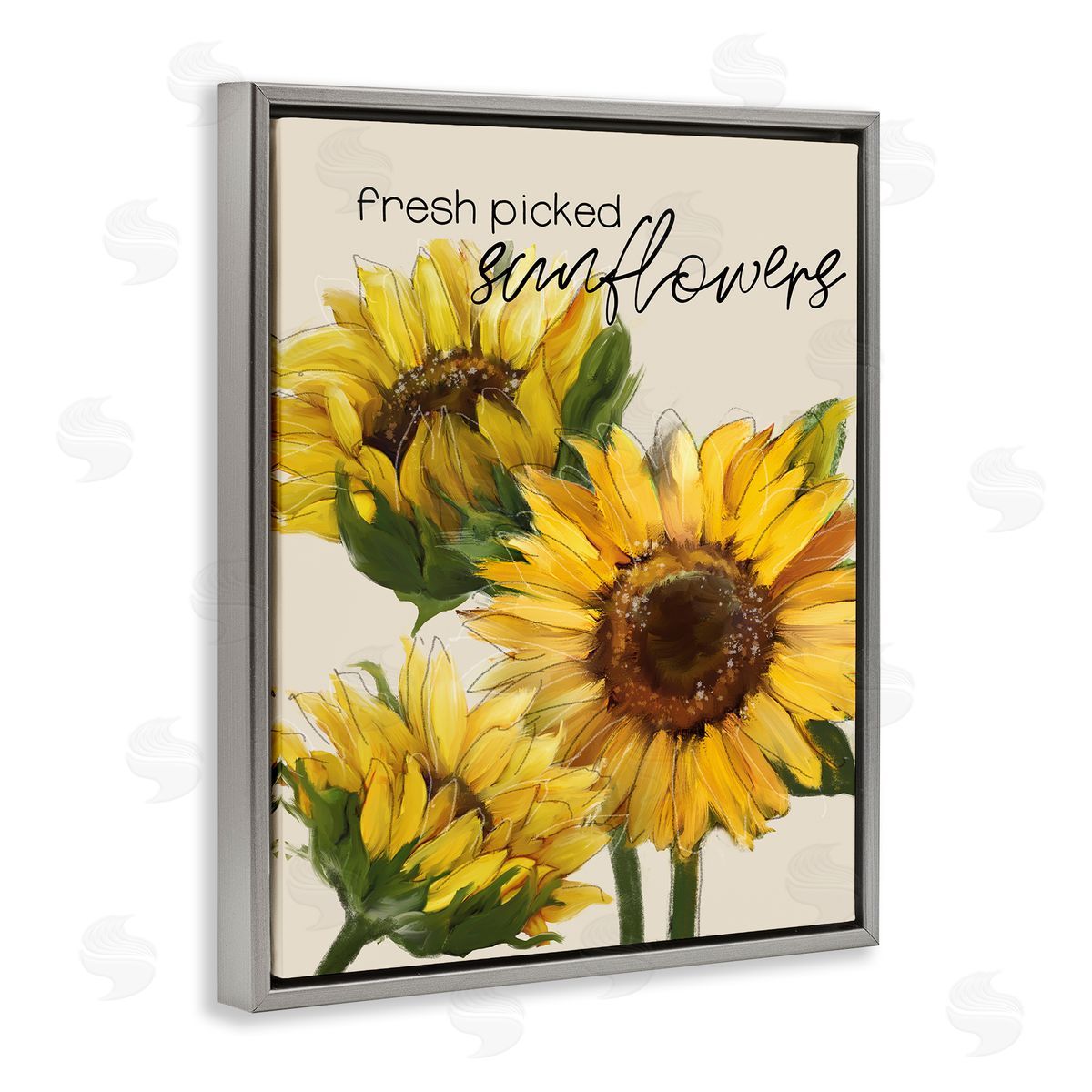Conrad Knutsen Fresh Picked Sunflowers Calligraphy Vivid Yellow Blossoms Gray Floating Frame Canvas Wall Art Print