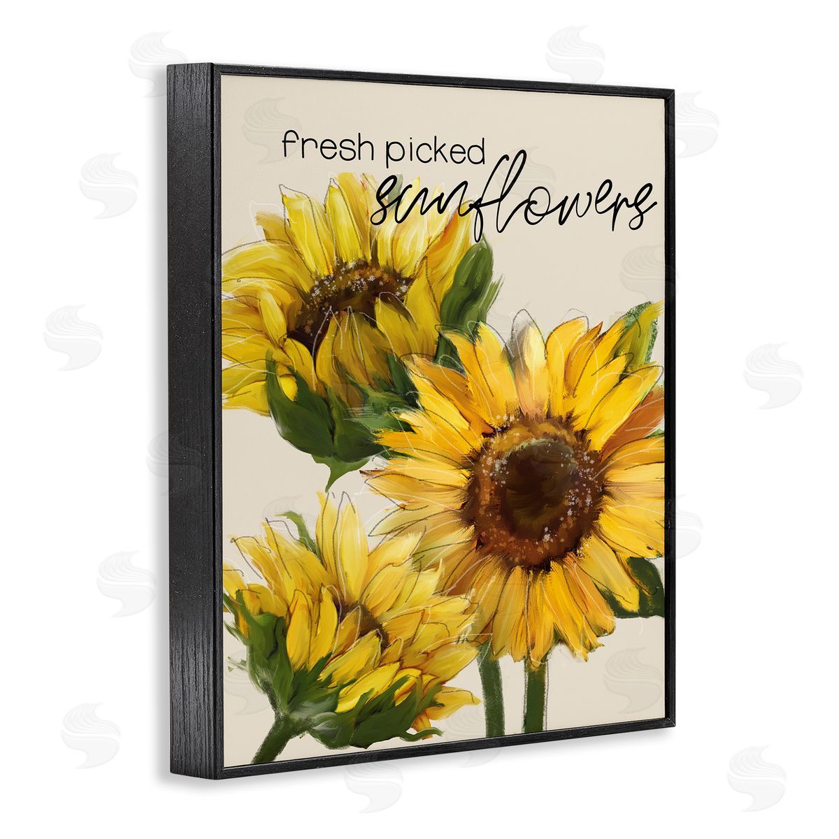 Conrad Knutsen Fresh Picked Sunflowers Calligraphy Vivid Yellow Blossoms Black Framed Giclee Wall Art Print