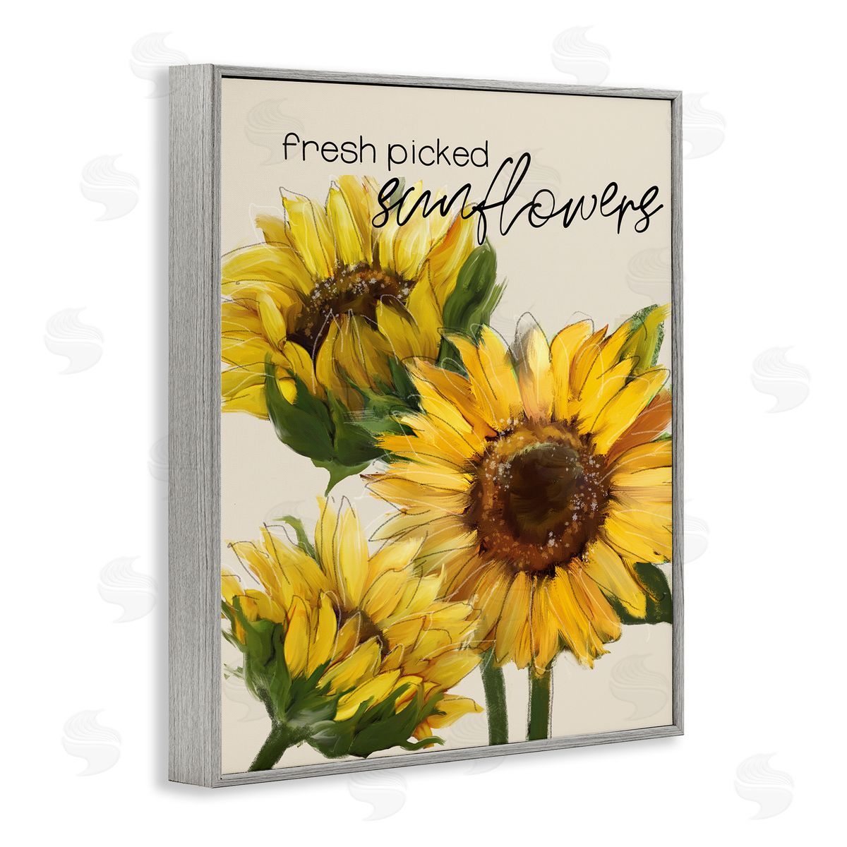 Conrad Knutsen Fresh Picked Sunflowers Calligraphy Vivid Yellow Blossoms Gray Framed Giclee Wall Art Print