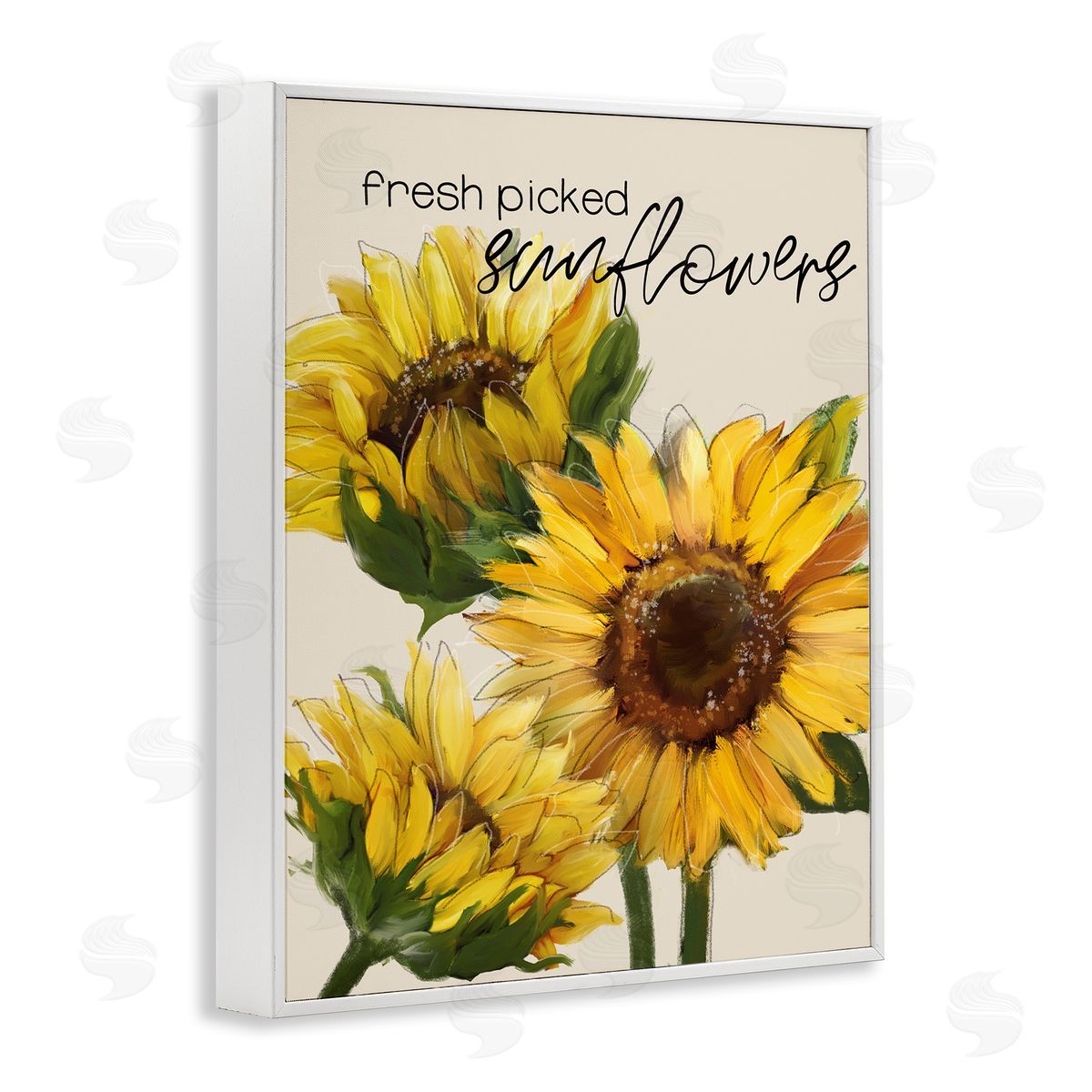 Conrad Knutsen Fresh Picked Sunflowers Calligraphy Vivid Yellow Blossoms White Framed Giclee Wall Art Print