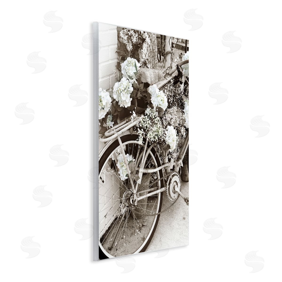 Acosta Flower Blossom Covered Bicycle Vintage Neighborhood Photography Wall Plaque Art Print