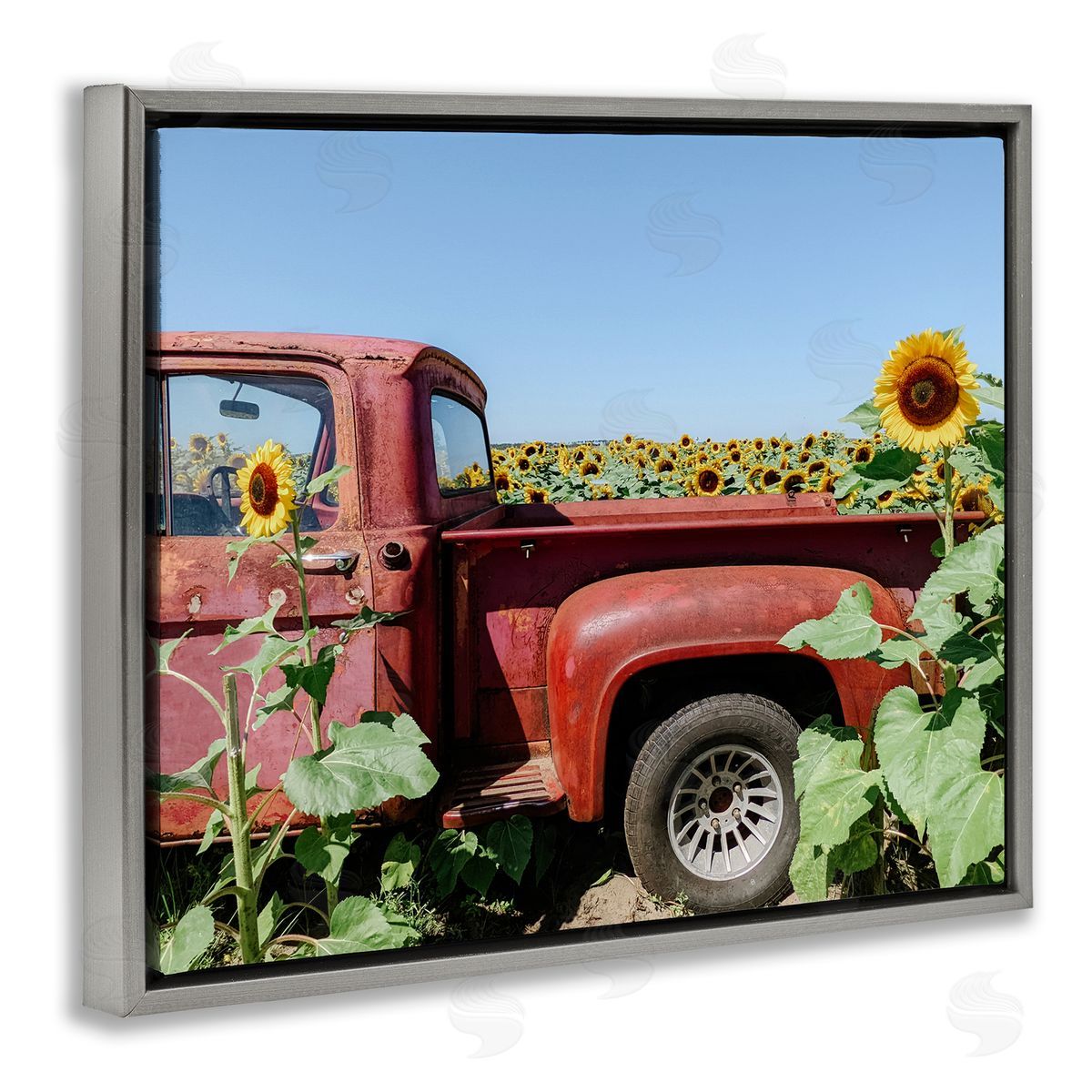 Kali Wilson Red Vintage Pickup Truck Amidst Sunflower Field  Gray Floating Frame Canvas Wall Art Print