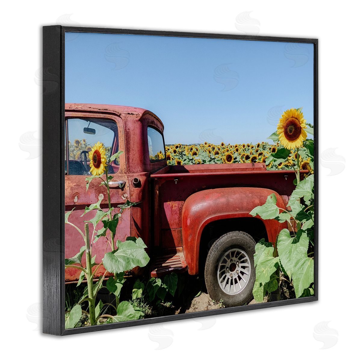 Kali Wilson Red Vintage Pickup Truck Amidst Sunflower Field  Black Framed Giclee Wall Art Print