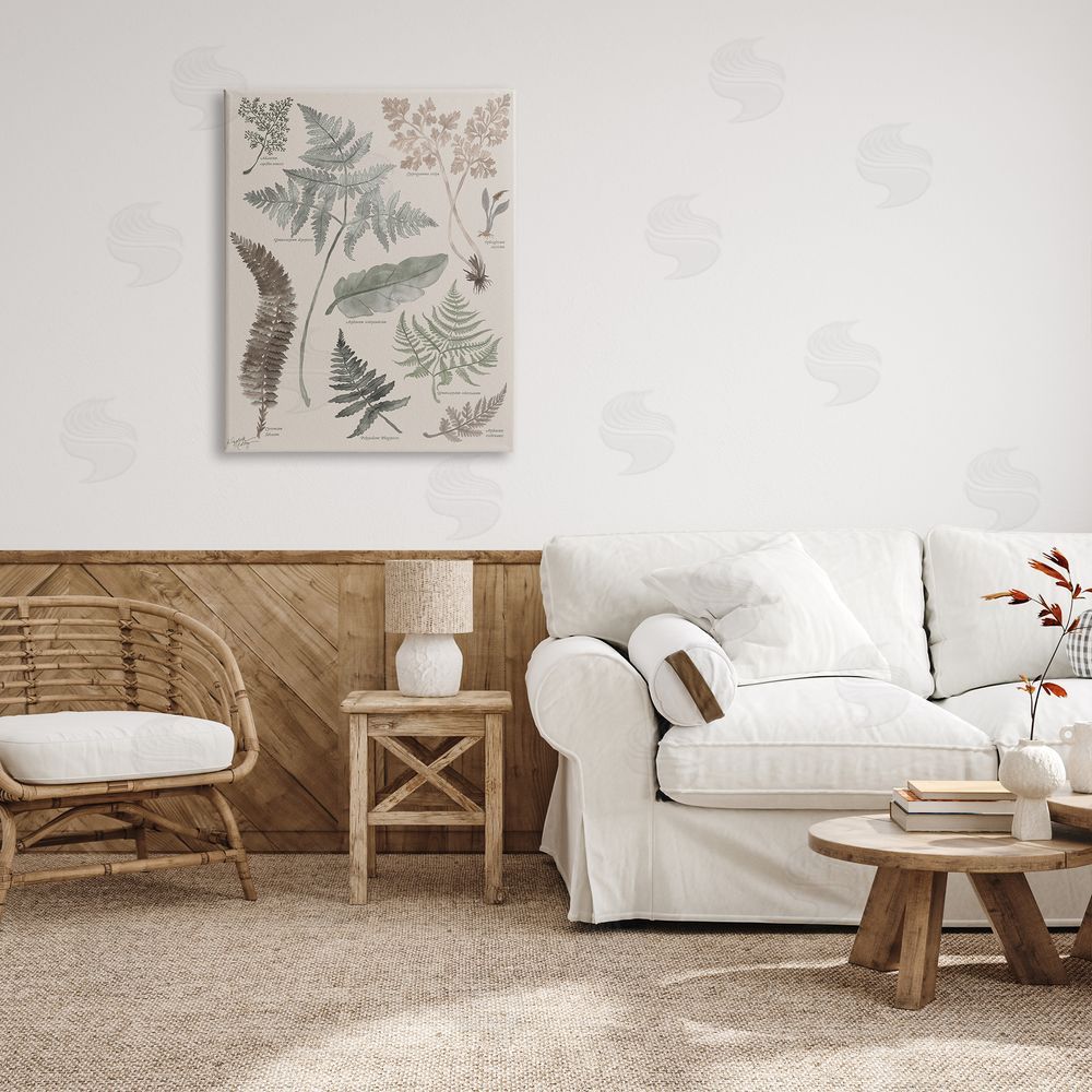 Elizabeth Medley Various Botanical Leaves Latin Study Informative Page Canvas Wall Art Print in Room