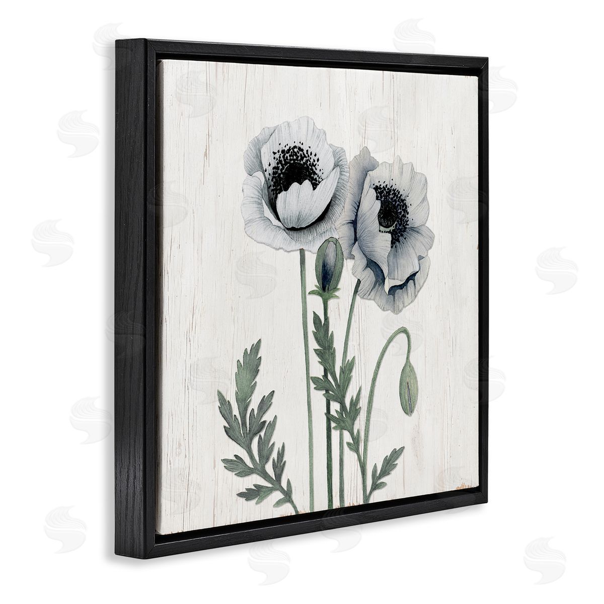 Kourtni Gunn Blooming Poppy Flower Buds Rustic Panel Pattern Black Floating Frame Canvas Wall Art Print