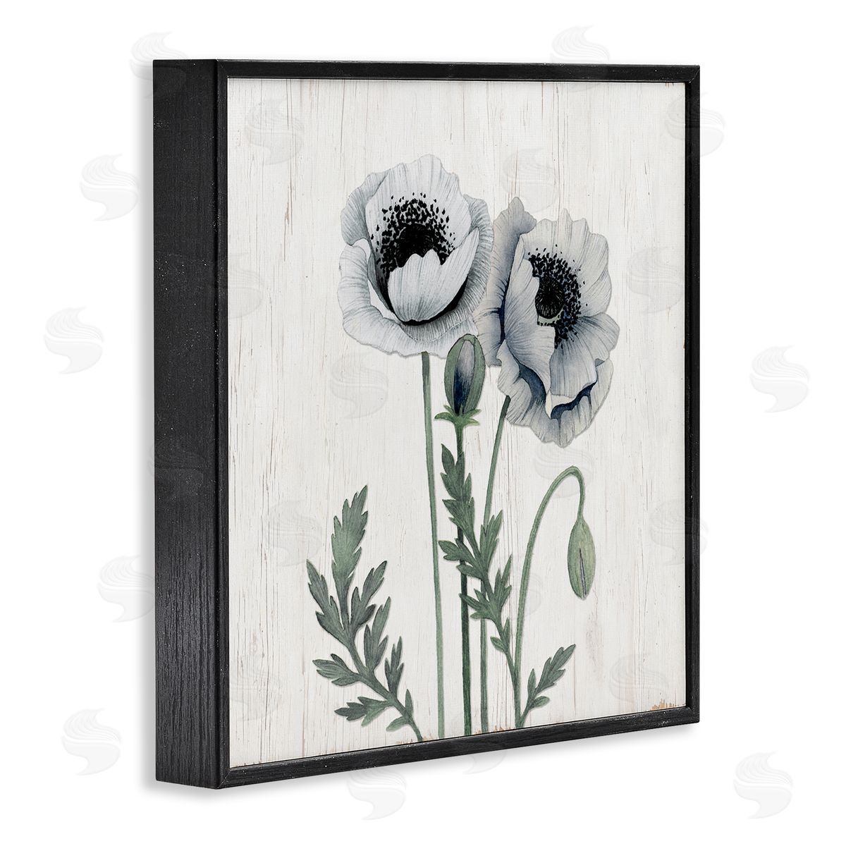 Kourtni Gunn Blooming Poppy Flower Buds Rustic Panel Pattern Black Framed Glicee Wall Art Print
