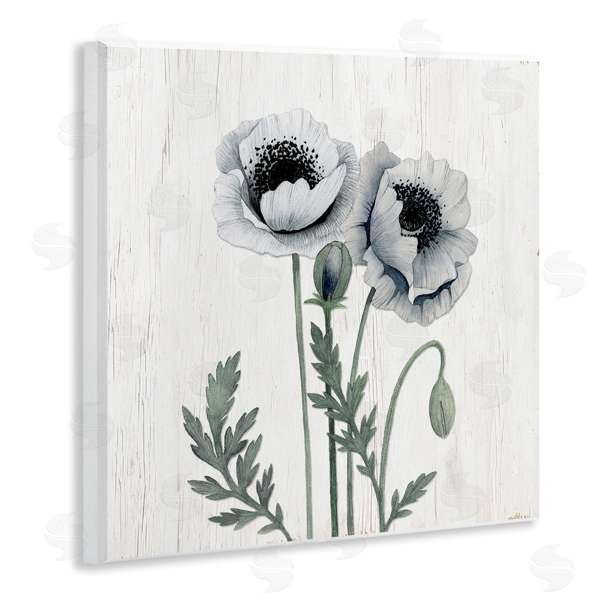 Kourtni Gunn Blooming Poppy Flower Buds Rustic Panel Pattern Wooden Wall Plaque Art Print