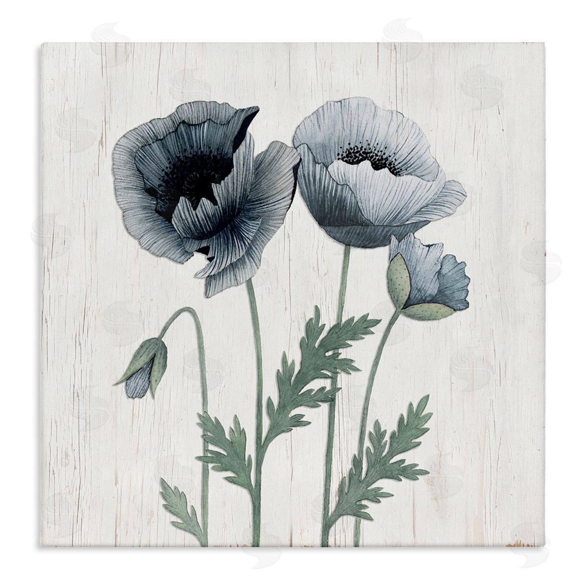 Kourtni Gunn Spring Poppy Blossoms Budding Flowers Rustic Design Stretched Canvas Wall Art Print
