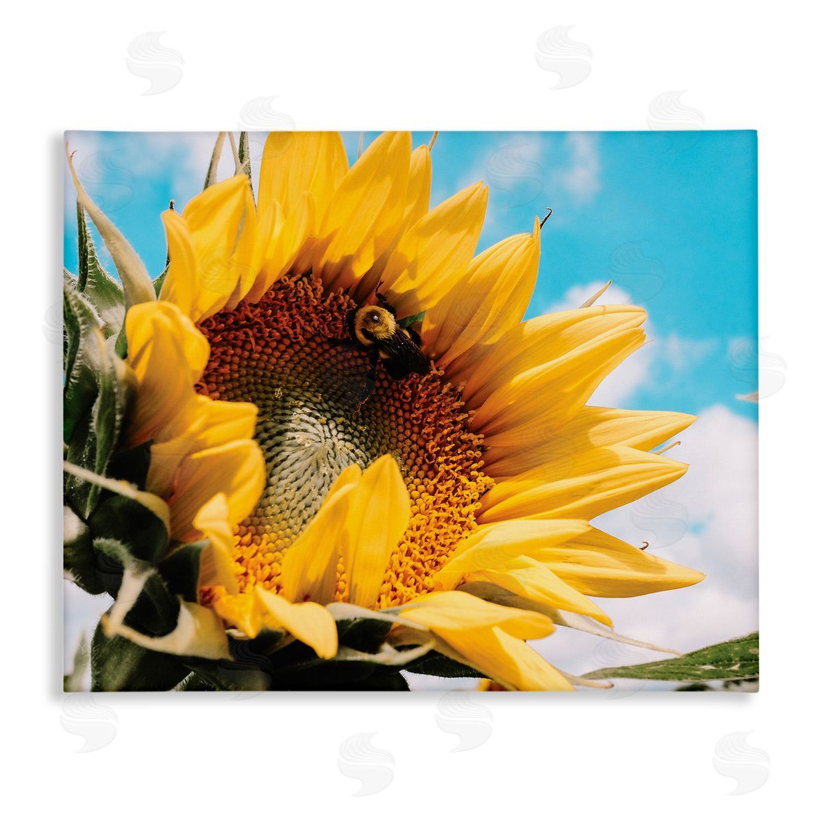 Hey Bre! Creative Studio Summer Sunflower Blossom Pollinating Honey Bee Photography Stretched Canvas Wall Art Print