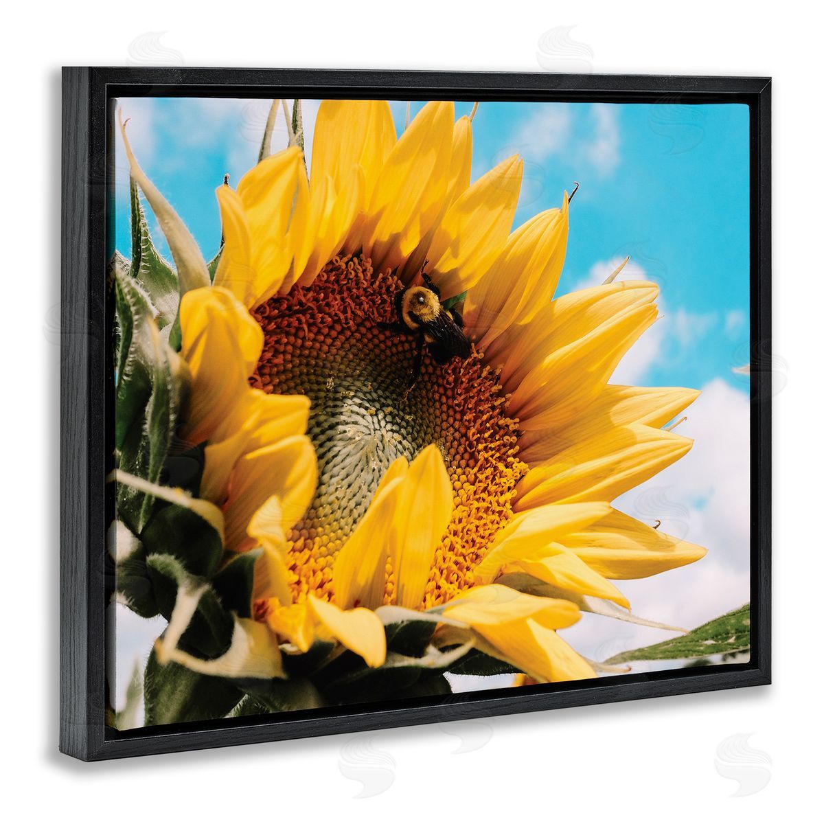 Hey Bre! Creative Studio Summer Sunflower Blossom Pollinating Honey Bee Photography Black Floating Frame Canvas Wall Art Print