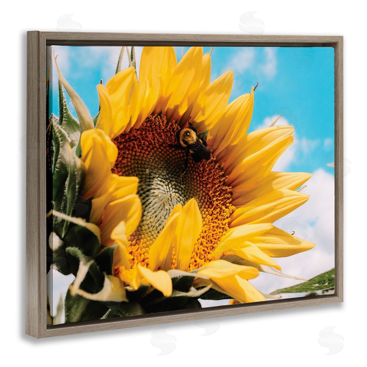 Hey Bre! Creative Studio Summer Sunflower Blossom Pollinating Honey Bee Photography Brown Floating Frame Canvas Wall Art Print