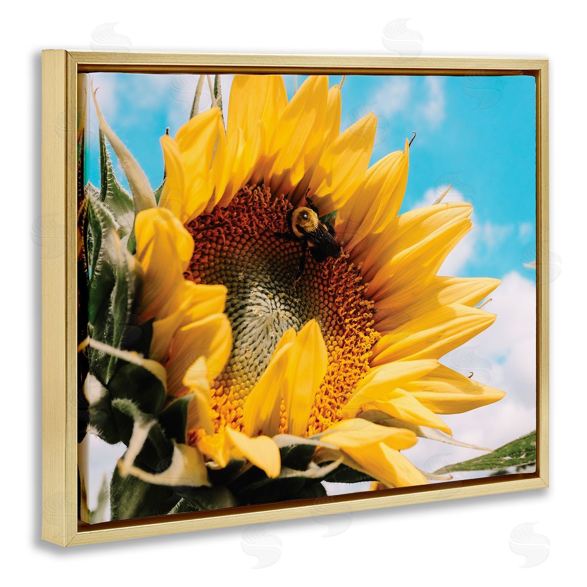 Hey Bre! Creative Studio Summer Sunflower Blossom Pollinating Honey Bee Photography Gold Floating Frame Canvas Wall Art Print
