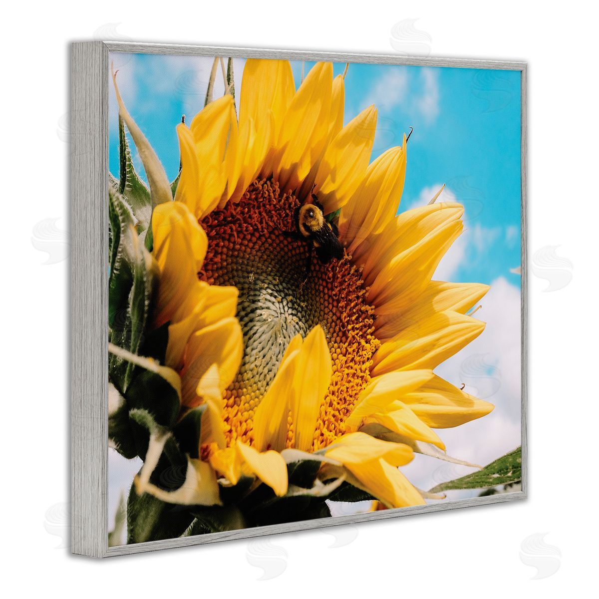 Hey Bre! Creative Studio Summer Sunflower Blossom Pollinating Honey Bee Photography Gray Framed Giclee Wall Art Print