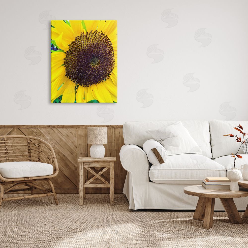 Heidi Bannon Close Up Yellow Sunflower Florets Botanical Nature  Canvas Wall Art Print in Room