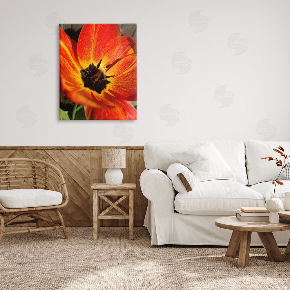 Heidi Bannon Bold Red Poppy Flower Blossom Petals  Canvas Wall Art Print in Room