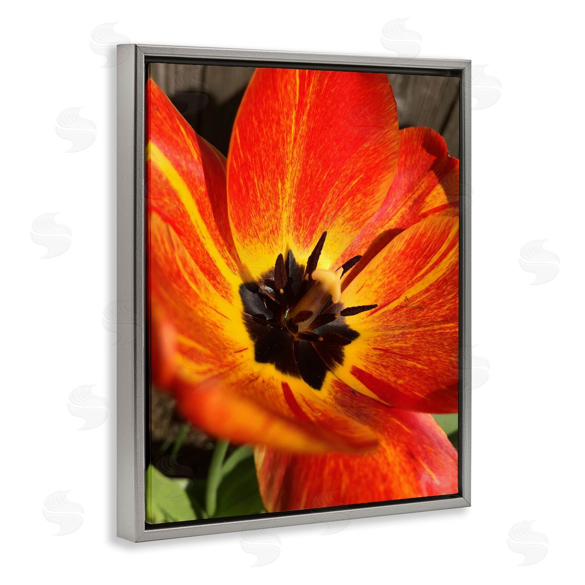 Heidi Bannon Bold Red Poppy Flower Blossom Petals  Gray Floating Frame Canvas Wall Art Print