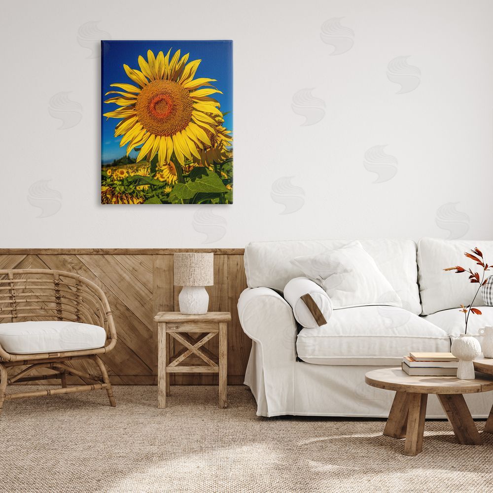 Steve Smith Summery Sunflower Plant Blooming Summertime Clear Sky Canvas Wall Art Print in Room