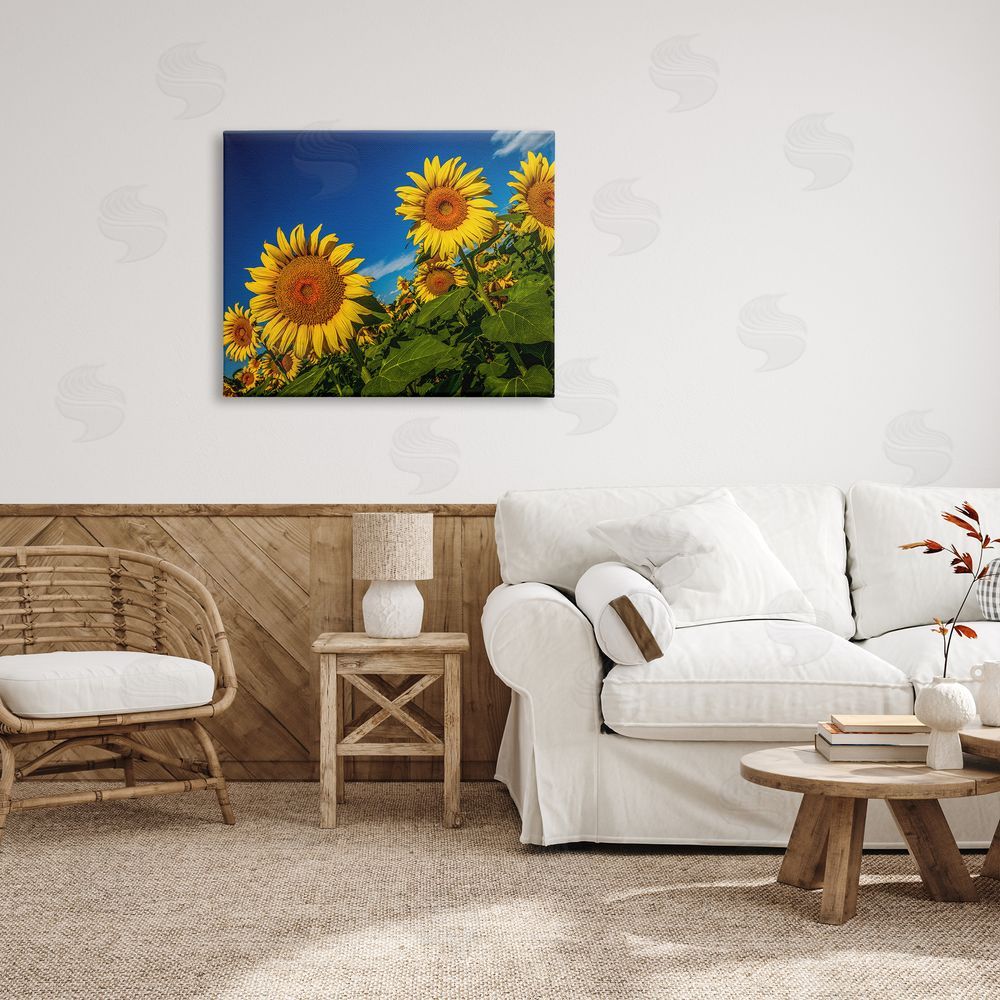 Steve Smith Gorgeous Sunflower Field Summery Blue Clouds Sky Canvas Wall Art Print in Room
