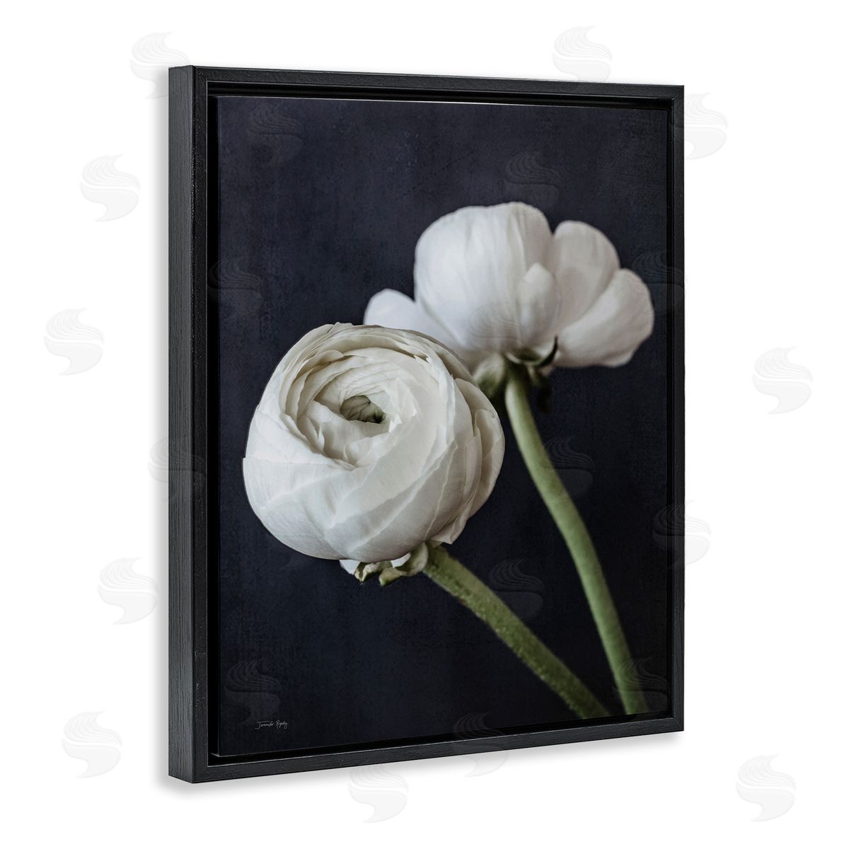 Jennifer Rigsby Modern Ranunculus Flower Blossom Arrangement White Petals Black Floating Frame Canvas Wall Art Print