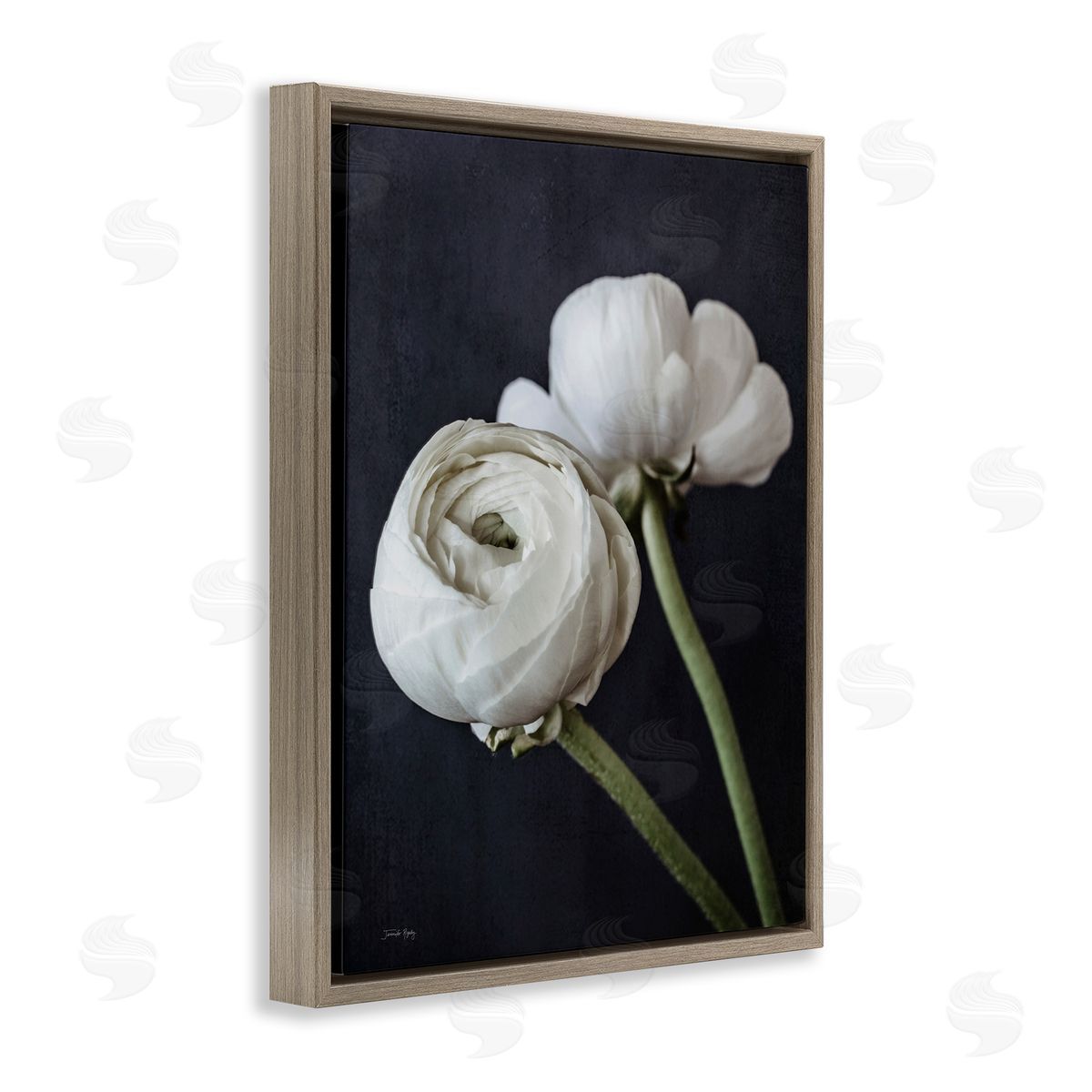 Jennifer Rigsby Modern Ranunculus Flower Blossom Arrangement White Petals Brown Floating Frame Canvas Wall Art Print