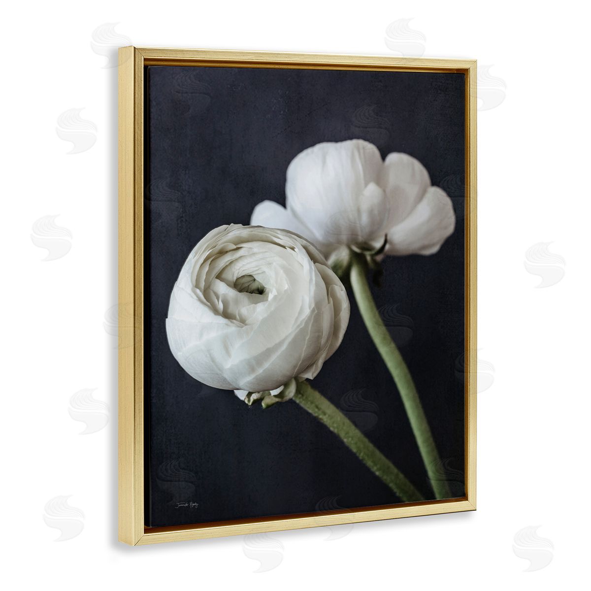 Jennifer Rigsby Modern Ranunculus Flower Blossom Arrangement White Petals Gold Floating Frame Canvas Wall Art Print
