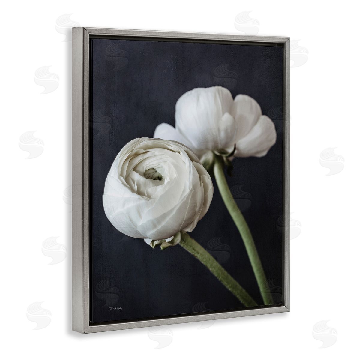 Jennifer Rigsby Modern Ranunculus Flower Blossom Arrangement White Petals Gray Floating Frame Canvas Wall Art Print