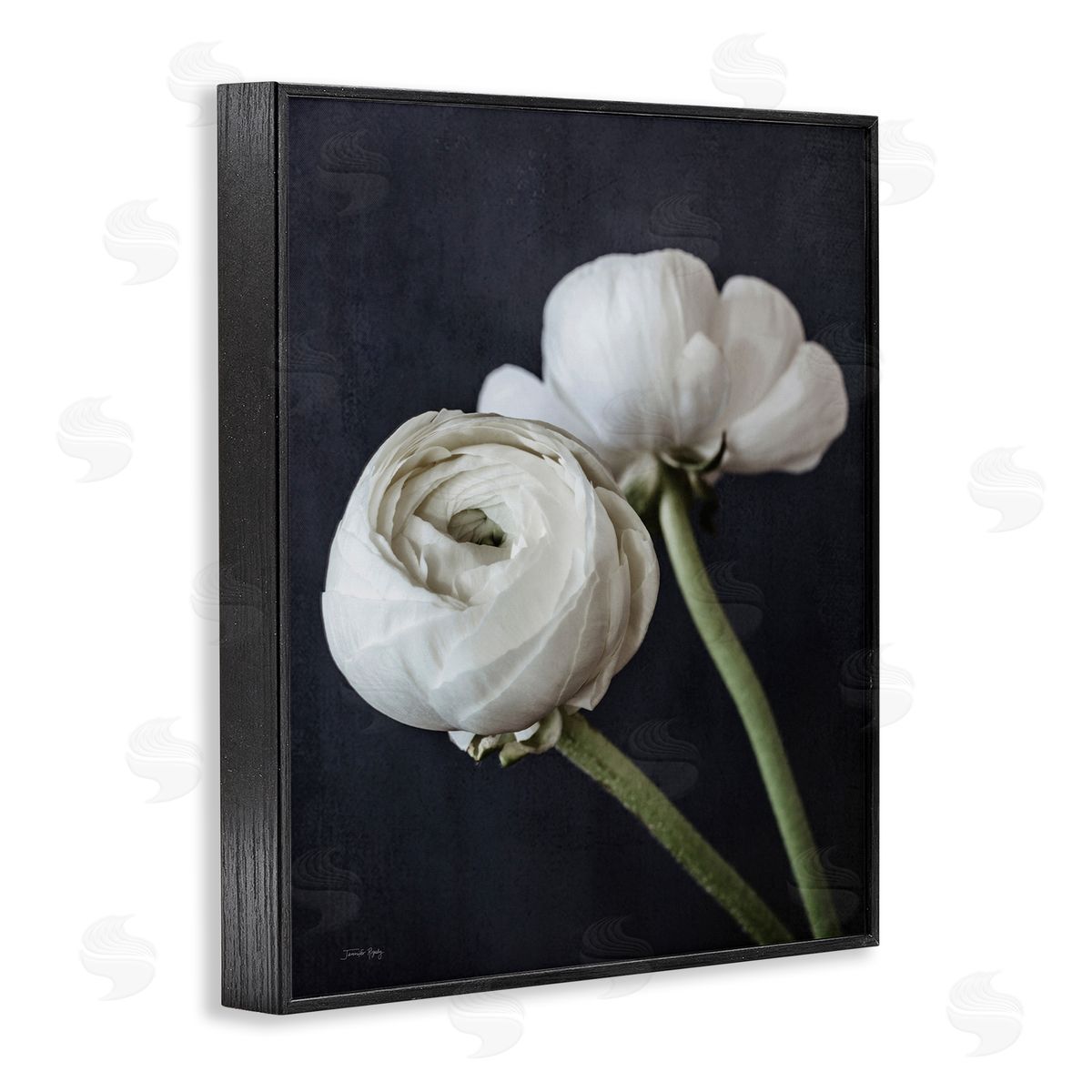Jennifer Rigsby Modern Ranunculus Flower Blossom Arrangement White Petals Black Framed Giclee Wall Art Print