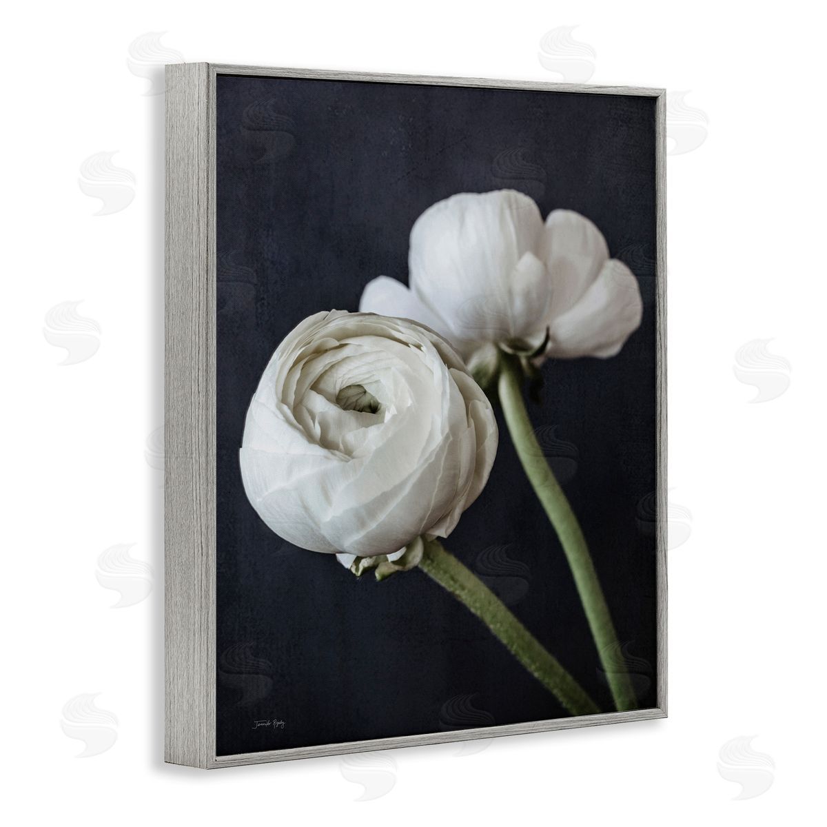 Jennifer Rigsby Modern Ranunculus Flower Blossom Arrangement White Petals Gray Framed Giclee Wall Art Print